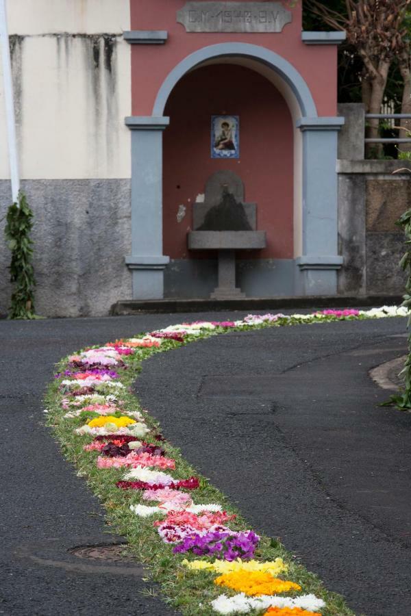 Antonella Home Funchal Exterior photo